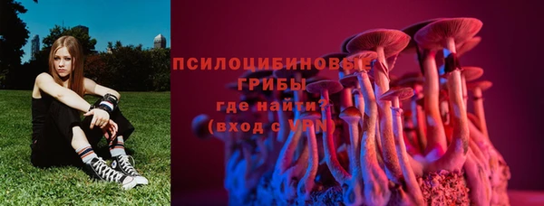 трава Абаза