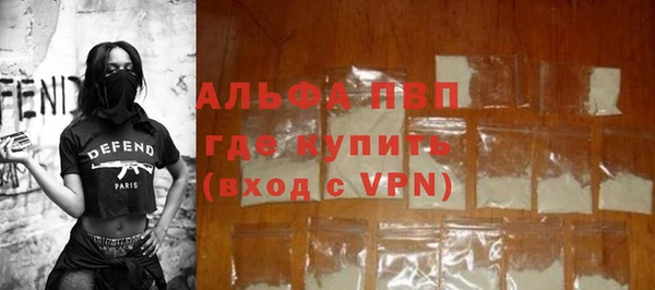 индика Абинск