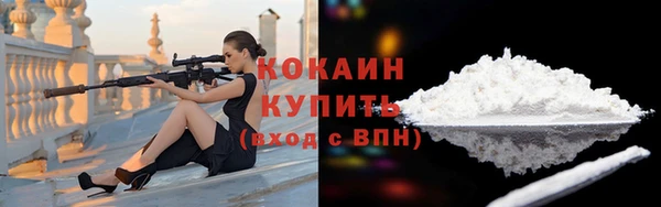 индика Абинск