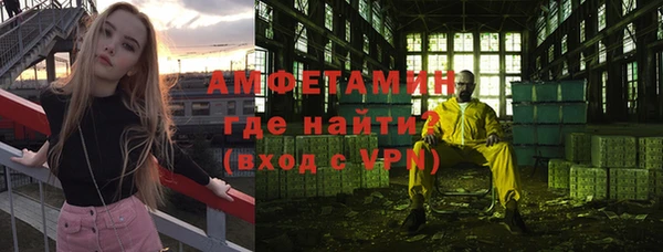 индика Абинск